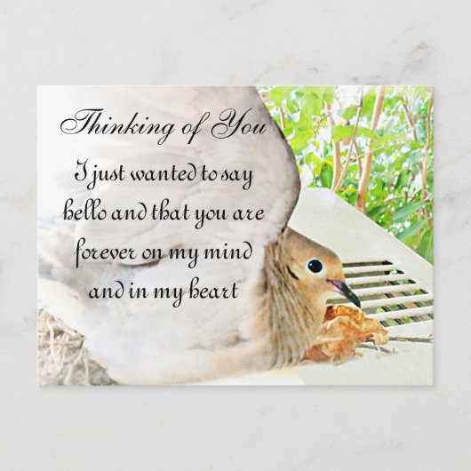 任意の大事な行事_ ポストカード (正面)