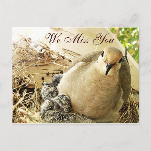 任意の大事な行事_ ポストカード (正面)