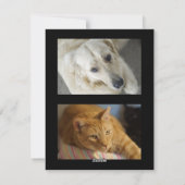 任意の色のフォトカード - HAMbyWG シーズンカード (裏面)