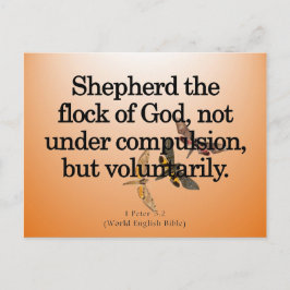 任意サービス1 Peter 5-2 ポストカード