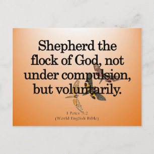 任意サービス1 Peter 5-2 ポストカード