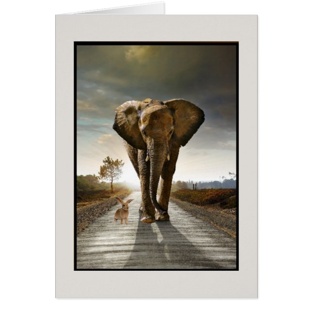 任意思考 (正面)