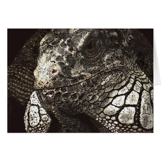 伊グアナ (正面横)