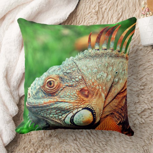 伊グアナ クッション (ブランケット)