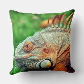 伊グアナ クッション (裏面)