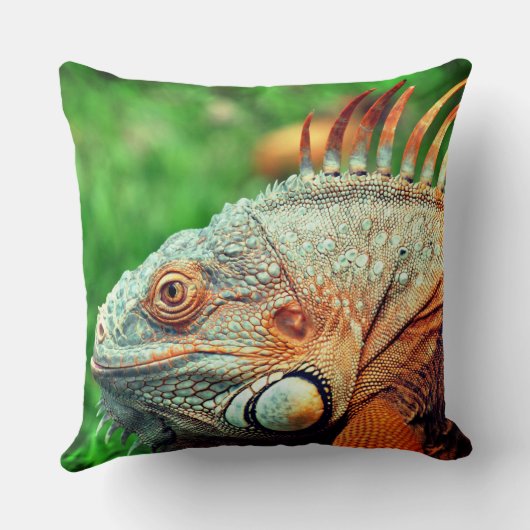 伊グアナ クッション (裏面)