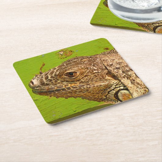 伊グアナ スクエアペーパーコースター (アングル)