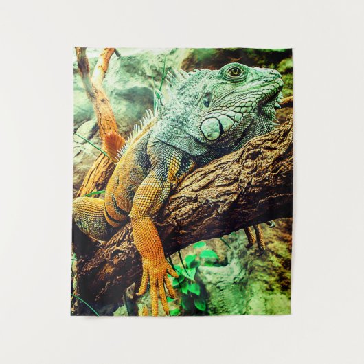 伊グアナ タペストリー (正面)