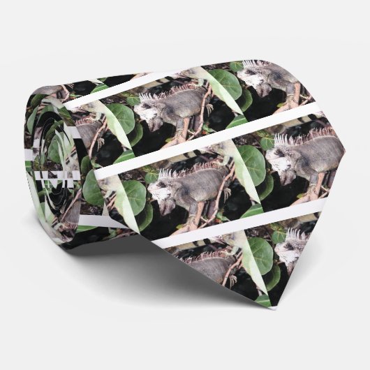 伊グアナ ネクタイ (ロール)