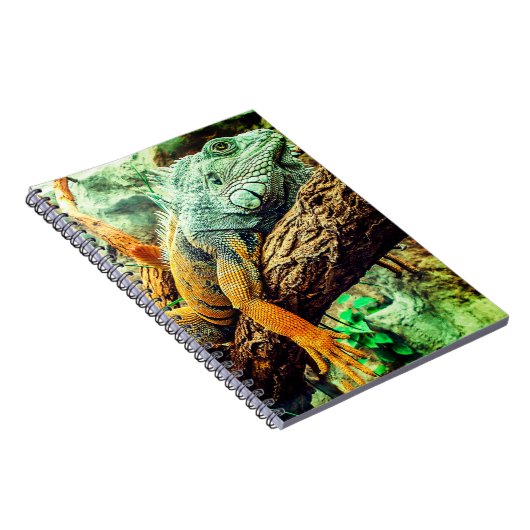 伊グアナ ノートブック (右側)