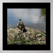 伊グアナ ポスター (正面)