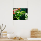 伊グアナ ポスター (キッチン)