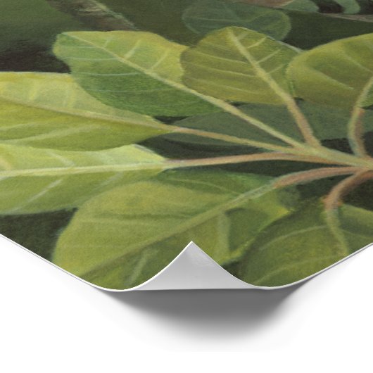 伊グアナ ポスター (角)