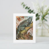 伊グアナ ポストカード (スタンド正面)