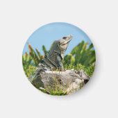 伊グアナ マグネット (正面)