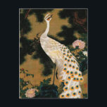 伊東若冲の松の古木と孔雀 ポストカード<br><div class="desc">旧松孔雀（1761年）伊藤若冲</div>