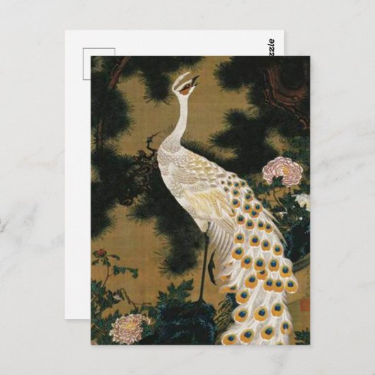 伊東若冲の松の古木と孔雀 ポストカード (正面/裏面)
