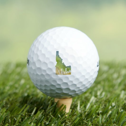 伊田保 ゴルフボール (インサイチュ 木)