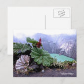 伊良津火山 ポストカード (正面/裏面)