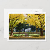 伊調並木：東京 ポストカード (正面/裏面)