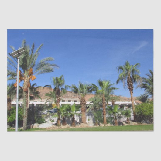 伊達手のひらの路地 薄葉紙 (正面)