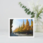 伊銀杏（いちょう）並木通り：東京 ポストカード (スタンド正面)