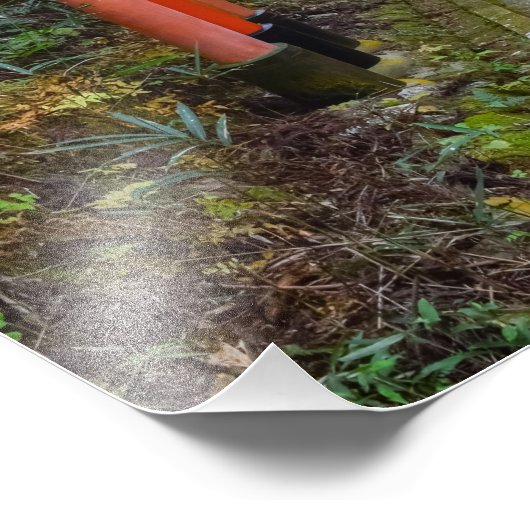 伏稲荷dec フォトプリント            (角)