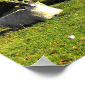 休んでいる羊が二頭 ポスター (角)