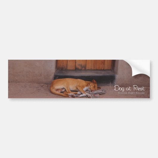 休息する犬 バンパーステッカー (正面)