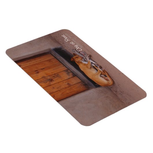 休息する犬 マグネット (右側)