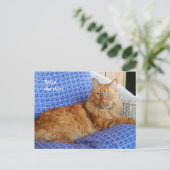 休息する猫のポストカード ポストカード (スタンド正面)