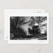 休息する荷馬たち ポストカード (正面/裏面)