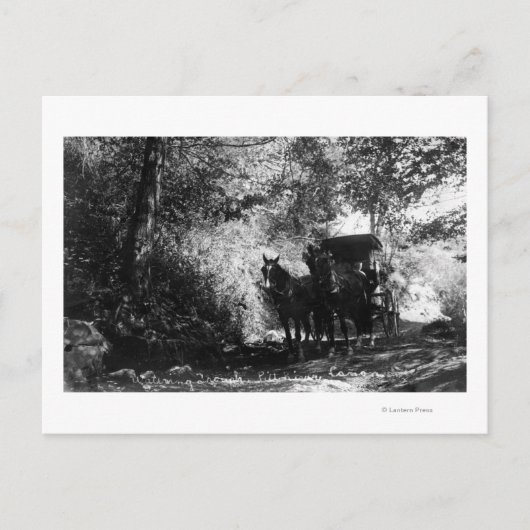 休息する荷馬たち ポストカード (正面)