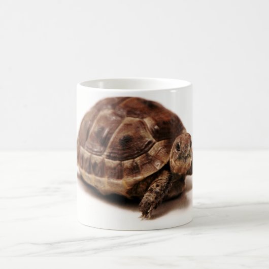 休息のカメ コーヒーマグカップ (中央)