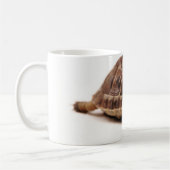 休息のカメ コーヒーマグカップ (左)