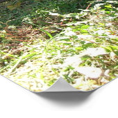 休息のコリー – ポスター (角)