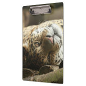 休息のジャガー クリップボード (左)