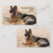 休息のジャーマン・シェパードの名刺 名刺 (正面/裏面)