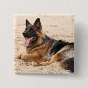 休息のジャーマン・シェパード犬の正方形Pin 缶バッジ