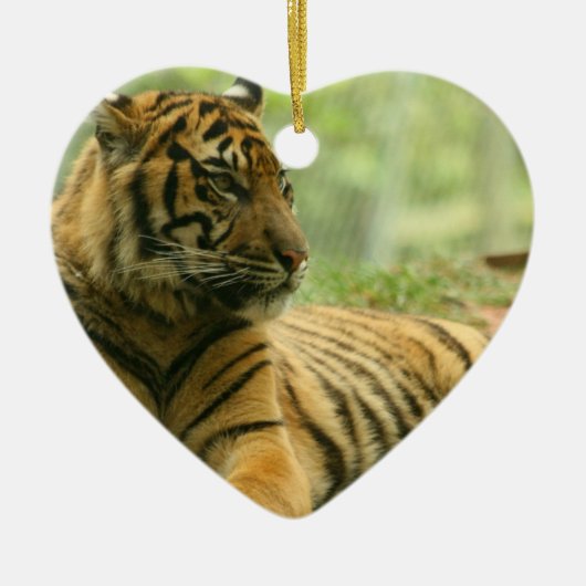 休息のトラのオーナメント セラミックオーナメント (正面)