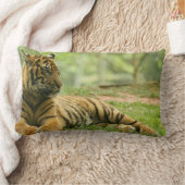 休息のトラの枕 ランバークッション (ブランケット)