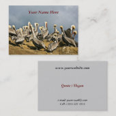 休息のペリカン 名刺 (正面/裏面)