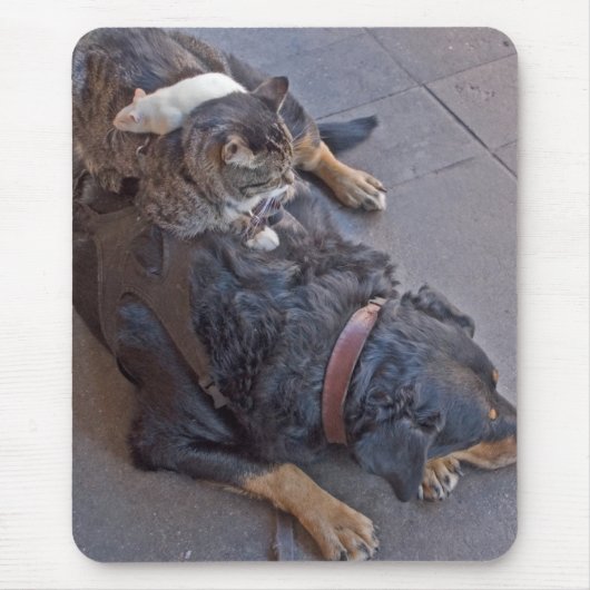 休息の簡単 マウスパッド (正面)