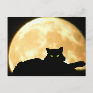 休息の黒猫および満月 ポストカード