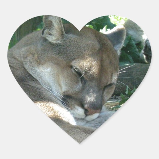 休息クーガーのシール ハートシール (正面)