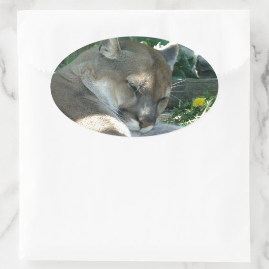 休息クーガーのシール 楕円形シール (バッグ)