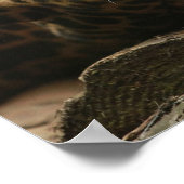 休息ジャガー ポスター (角)