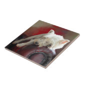 休息中のウェスティー タイル (側面)