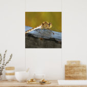 休息中のオークレブラウントンボ絵画イのリアル ポスター (キッチン)