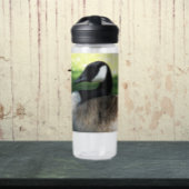 休息中のカナダガチョウ野生動物写真 ウォーターボトル